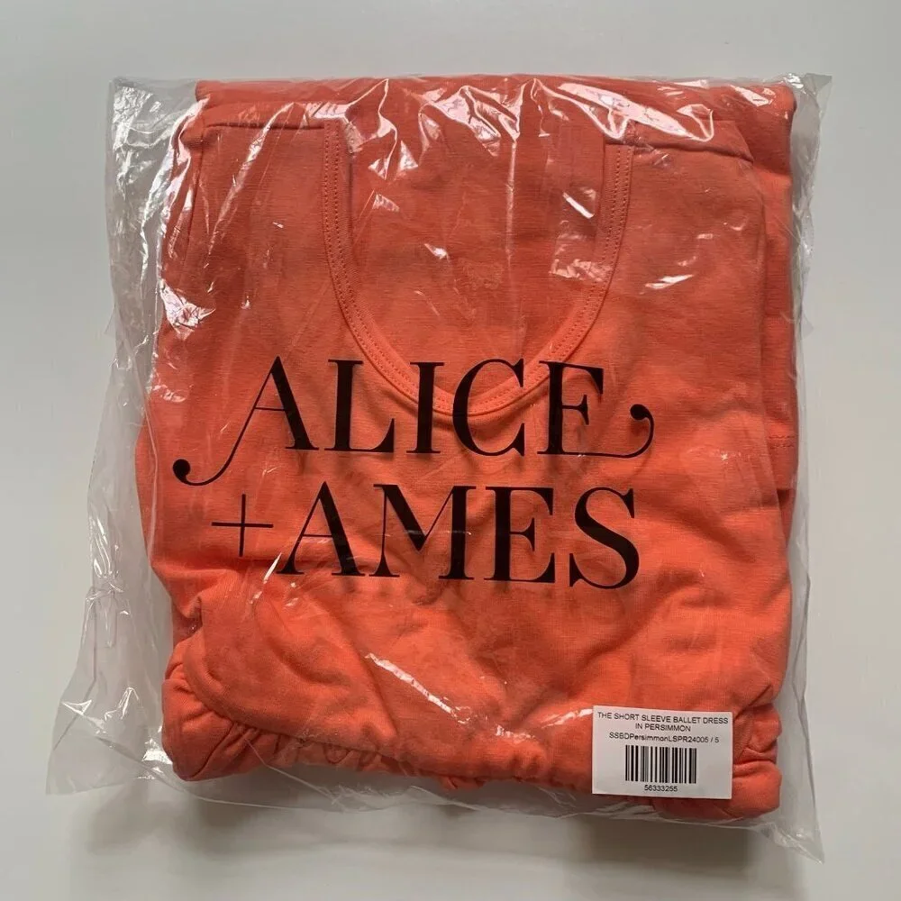 NWOT Alice and Ames Girl ballet dress 5T